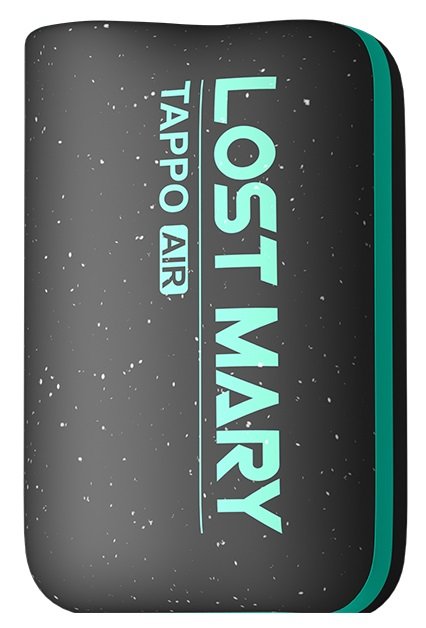 Lost Mary